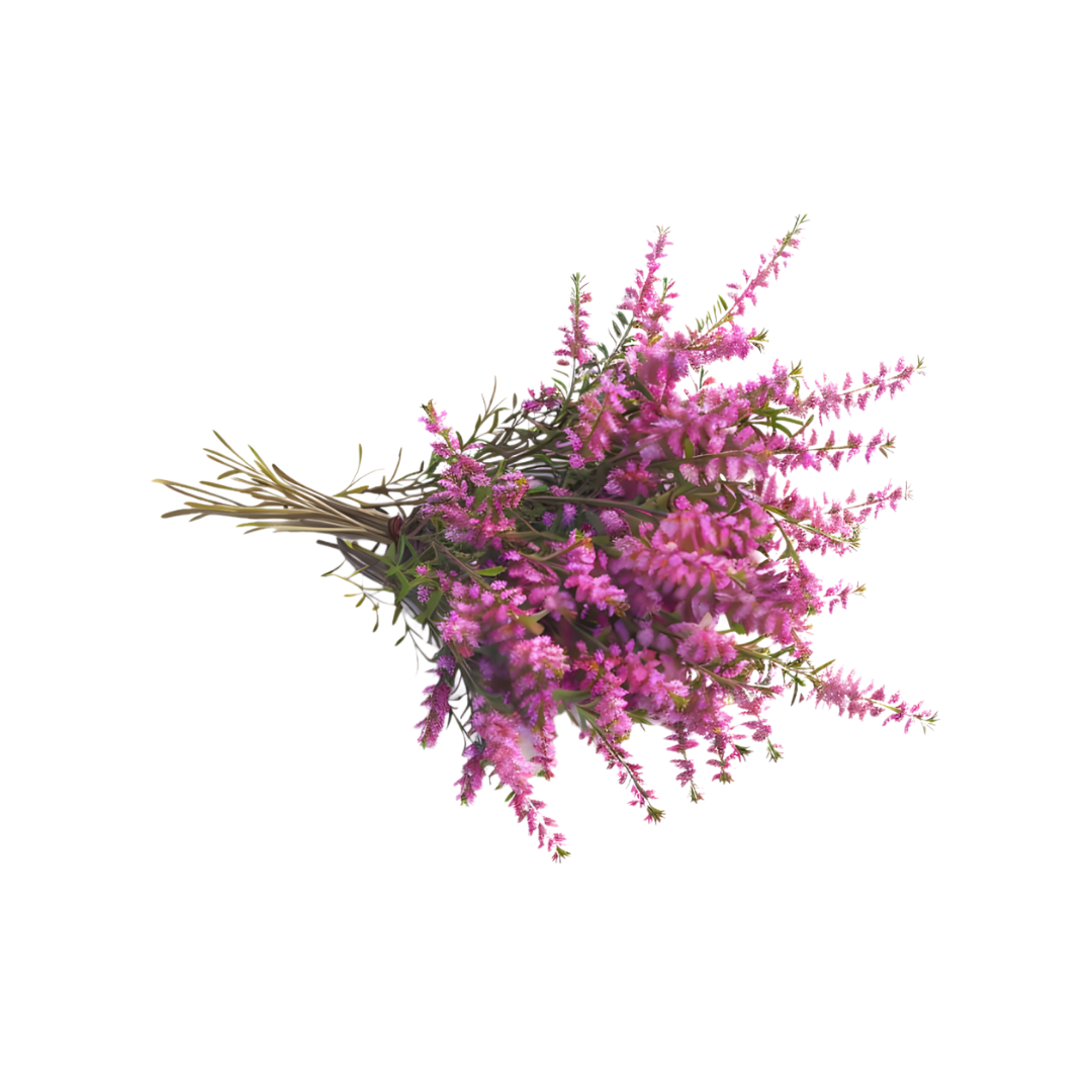 Heather Flower